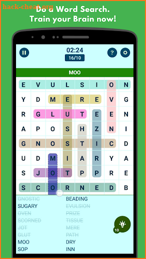 Correct Word Search Puzzle screenshot