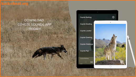 Coyote Sounds - Wild Coyote Calls screenshot