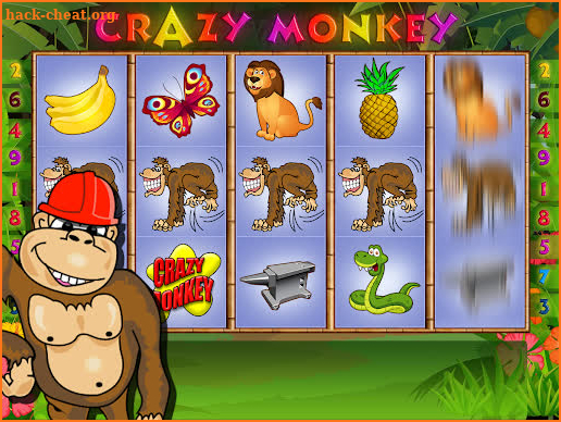 Crazy Monkey screenshot