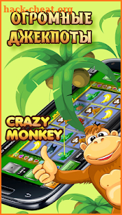 Crazy Monkey - Обезьянки screenshot