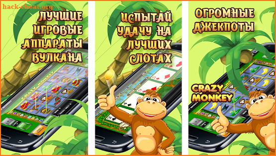 Crazy Monkey - Обезьянки screenshot