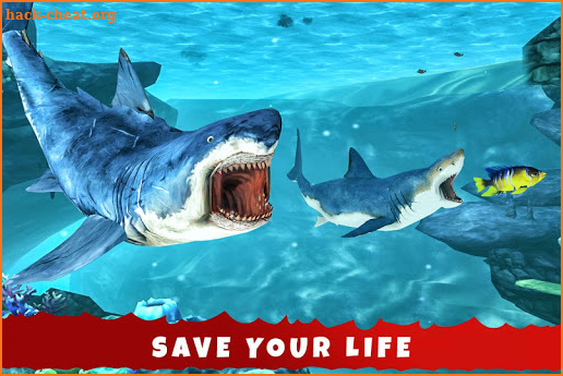 Crazy Water Shark Ocean: New Games screenshot