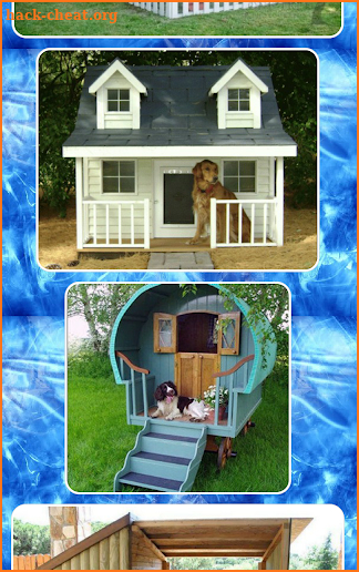 Creative Dog House Design screenshot