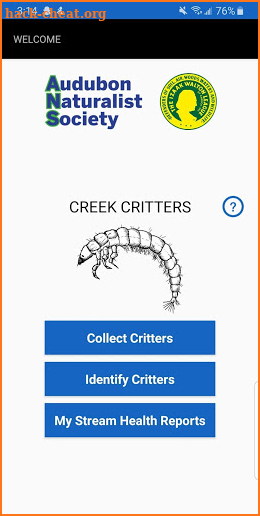 Creek Critters screenshot