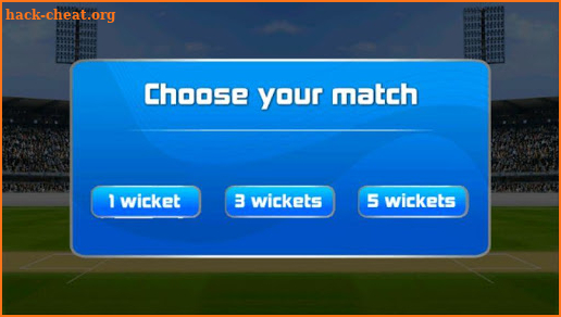 Cricket 2 mb Games screenshot