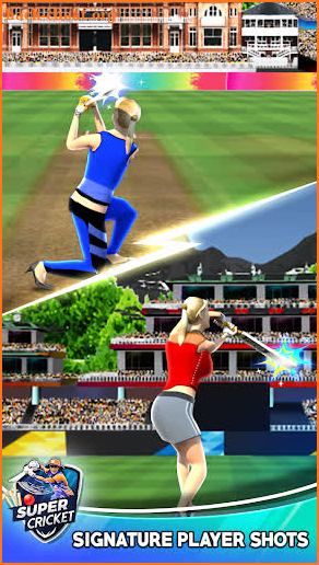 Cricket Battle Game screenshot