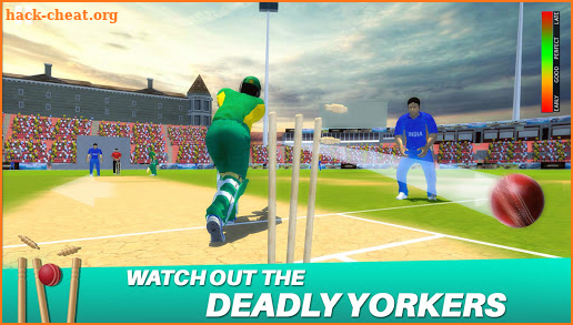 Cricket Championship League 3D screenshot