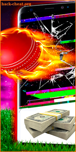 Cricket Heroes screenshot