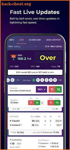 Cricket Live Line screenshot