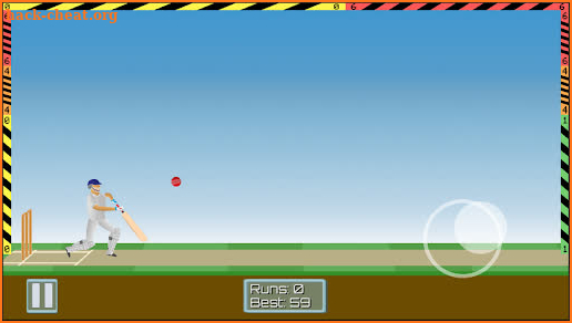 Cricket Mayhem: 2D Cricket screenshot
