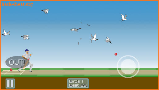 Cricket Mayhem: 2D Cricket screenshot