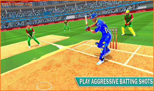 Cricket Premier League 2020: 3d Real Cricket Games screenshot