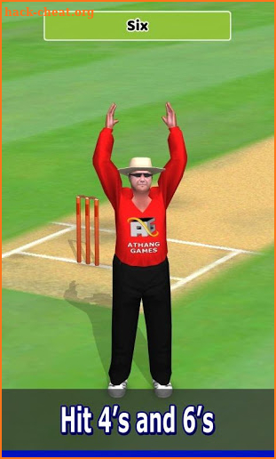 Cricket World Domination screenshot
