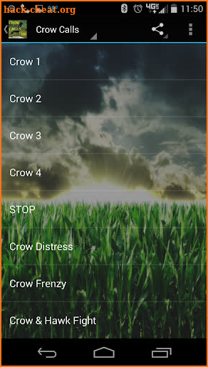 Crow Calls HD screenshot