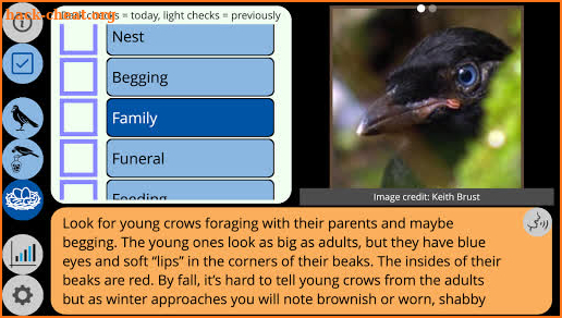 Crow Scientist screenshot