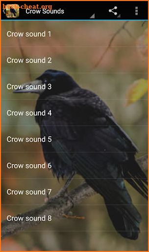Crow Sounds screenshot