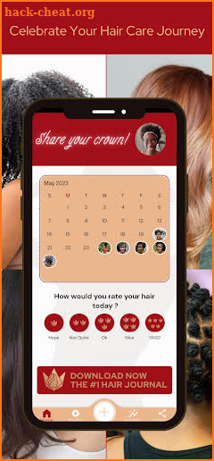Crown Chronicles Hair Journal screenshot