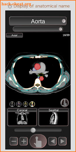 CT Passport Chest / sectional anatomy / MRI screenshot