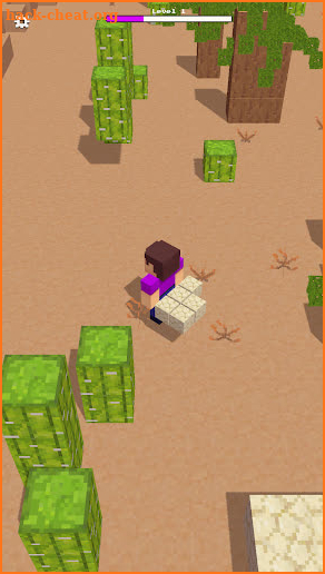 CubeCraft screenshot