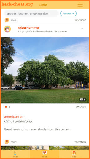 Curio-xyz : community & trees screenshot