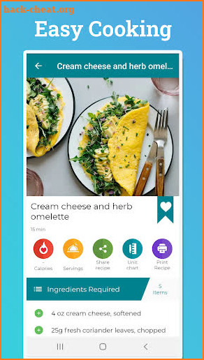 Curry Recipes screenshot