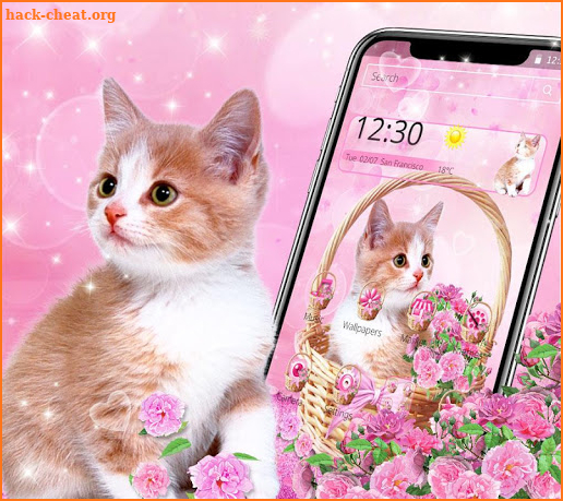 Cute Basket Flower Cat Theme screenshot