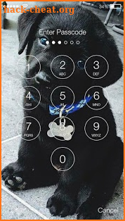 Cute Black Labrador Puppies Screen Lock screenshot