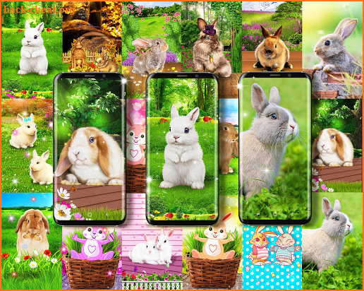 Cute bunny easter wallpapers screenshot