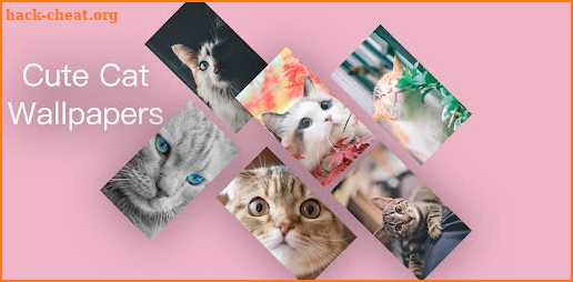 Cute Cat Wallpapers HD screenshot