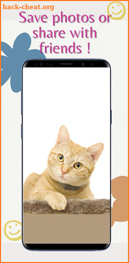 Cute Cats for HD Wallpapers screenshot