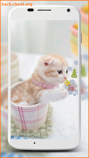 Cute Cats Wallpaper screenshot
