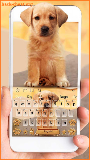 Cute Dog Labrador screenshot