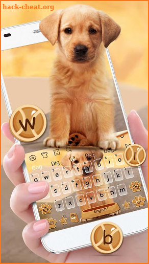 Cute Dog Labrador screenshot