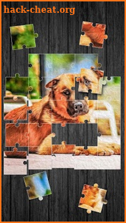 Cute Dogs Jigsaw Puzzle screenshot