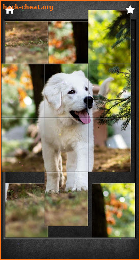 Cute Dogs Jigsaw Puzzles screenshot