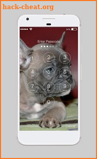 Cute Dogs Labrador HD AppLock Security screenshot