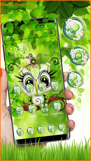 Cute Green Owl Theme screenshot