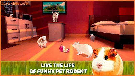 Cute Guinea Pig Home Adventure Simulator 3D screenshot