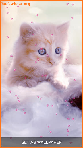 Cute Kitten Live Wallpapers screenshot