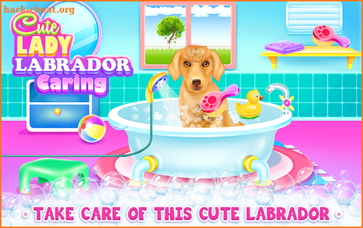 Cute Lady Labrador Caring screenshot