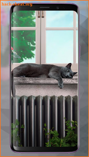 Cute Lazy Cat Live Wallpaper screenshot