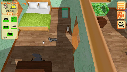 Cute Pocket Cat 3D - Part 2 screenshot
