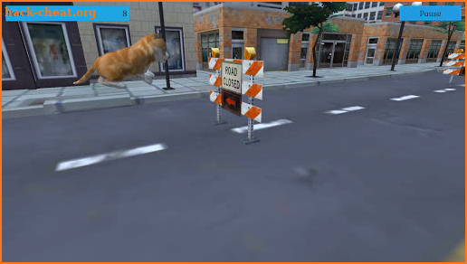 Cute Pocket Cat And Puppy 3D screenshot