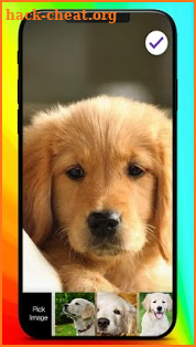 Cute Puppy Labrador Little Dog Screen Lock screenshot
