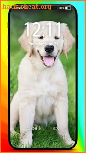 Cute Puppy Labrador Little Dog Screen Lock screenshot