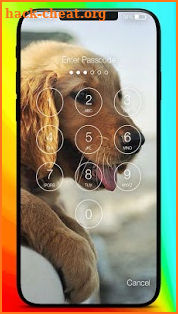 Cute Puppy Labrador Little Dog Screen Lock screenshot