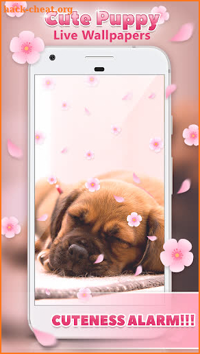 Cute Puppy Live Wallpapers 🐶 screenshot