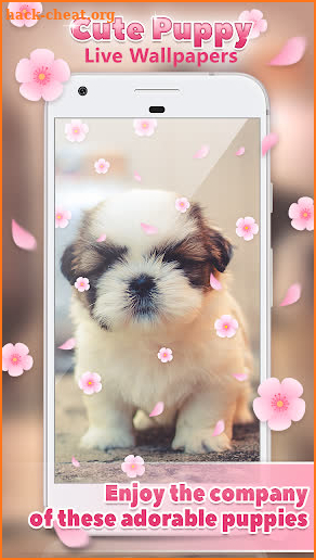 Cute Puppy Live Wallpapers 🐶 screenshot