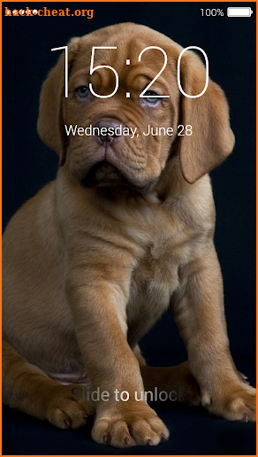 Cute Puppy Lock Screen screenshot