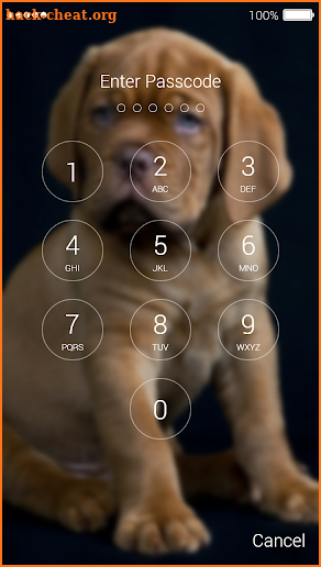 Cute Puppy Lock Screen screenshot